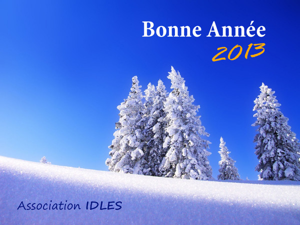 Bonne année 2013